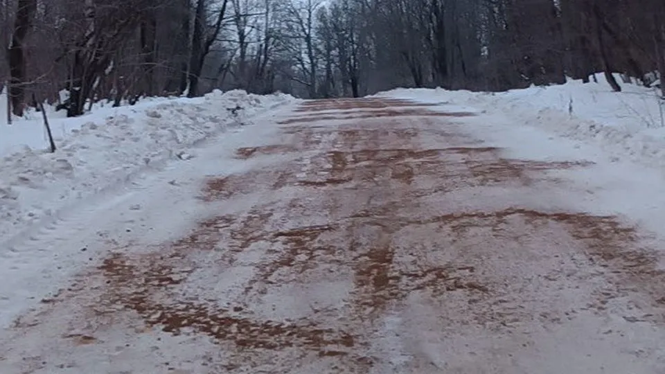 Фото: МЦУР Дмитровского округа