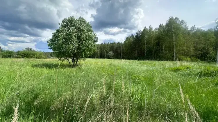 Фото: ЕАСУЗ