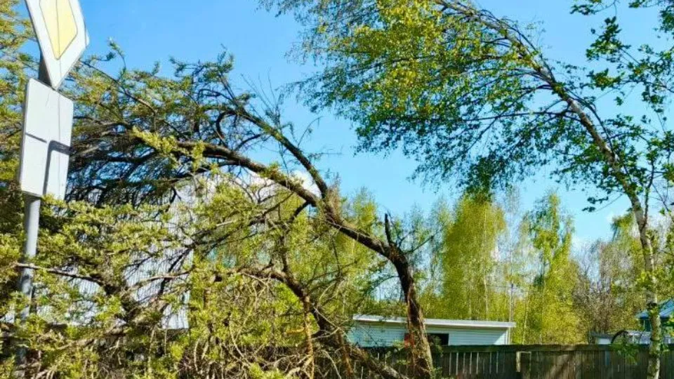 Фото: Ассоциация ветеранов СВО Дмитровского г.о.