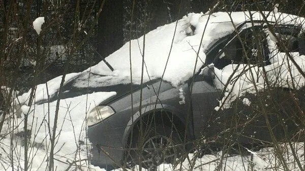 Водитель загадочным образом исчез по дороге из Сергиева Посада в Переславль-Залесский