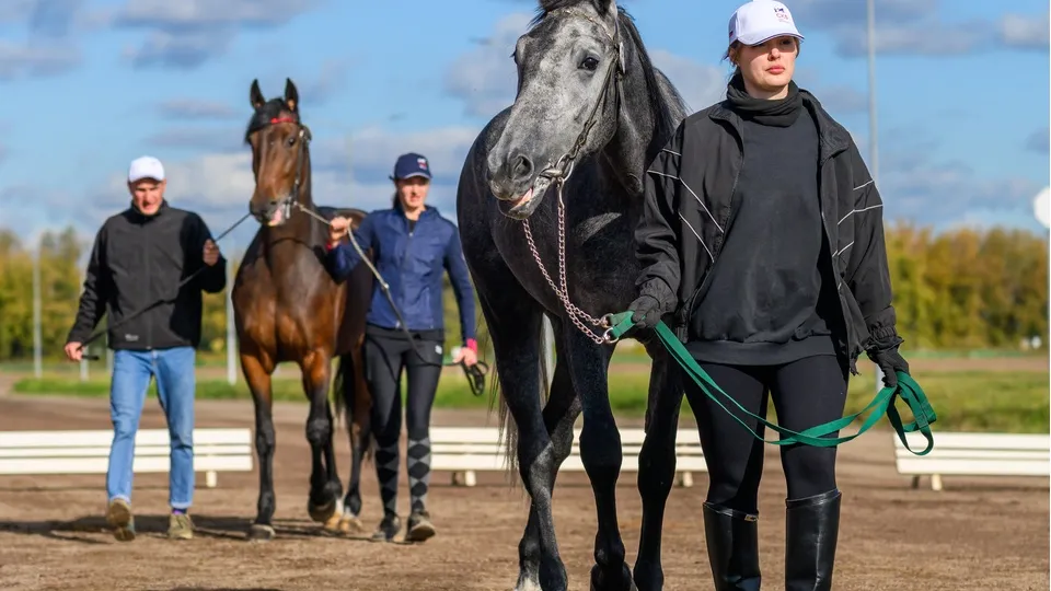Фото: медиасток.рф