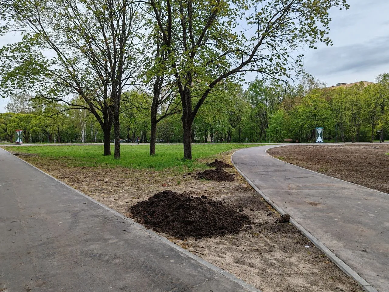 Процесс высаживания газона. Фото: пресс-служба главы г.о. Черноголовка&nbsp;