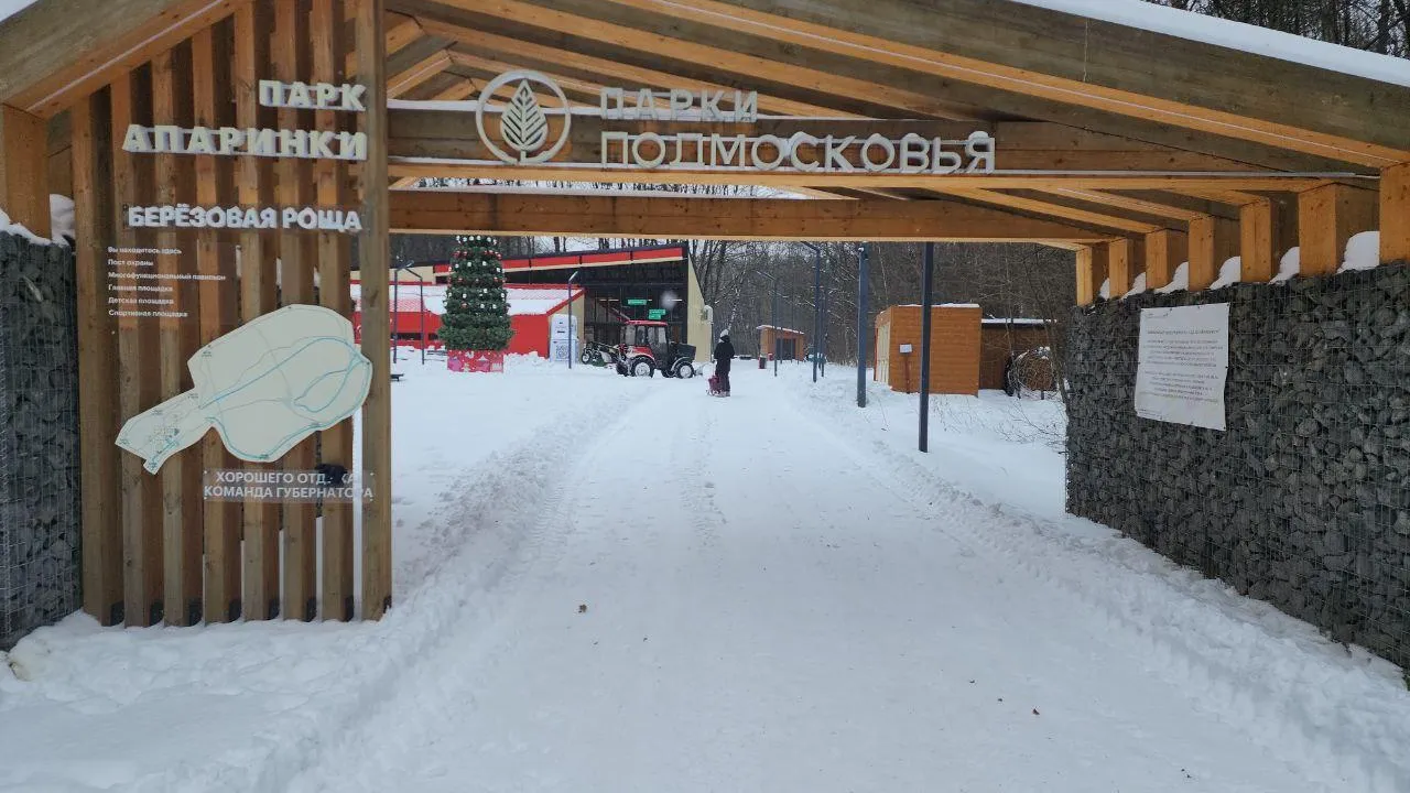 Мария Амелина