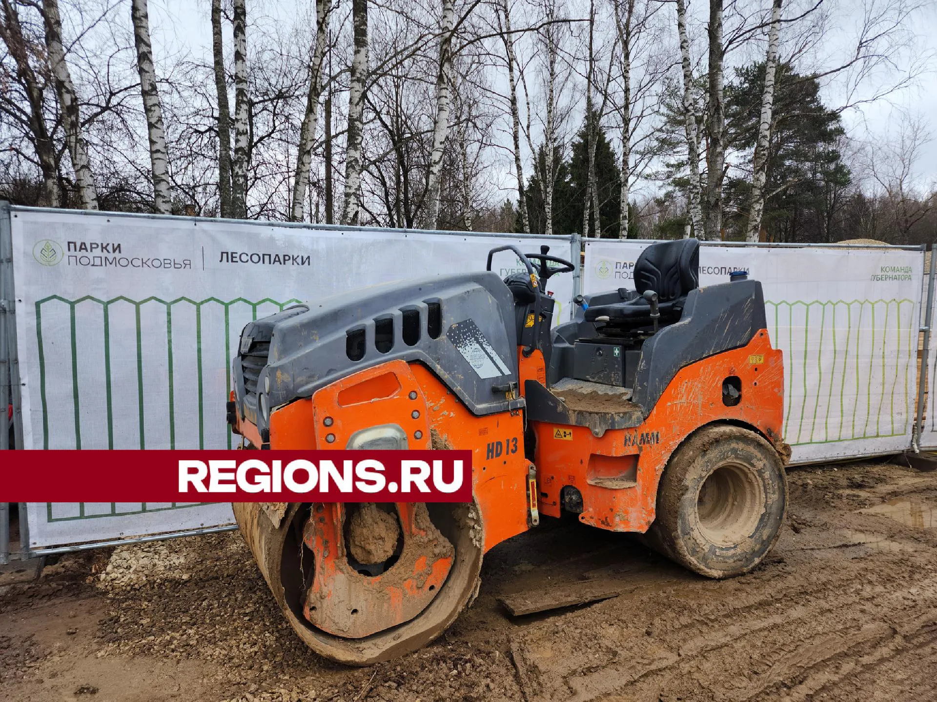 Фото: Хавива Фонина