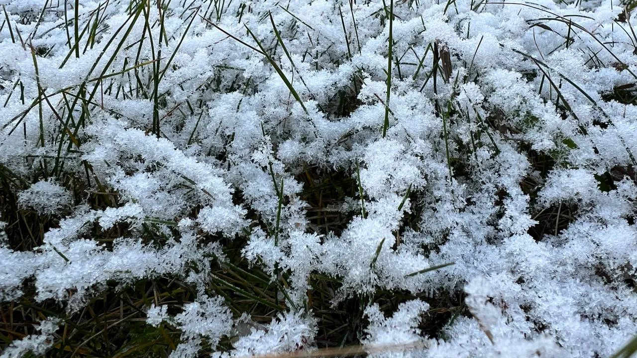 Фото: REGIONS/Елена Фурман