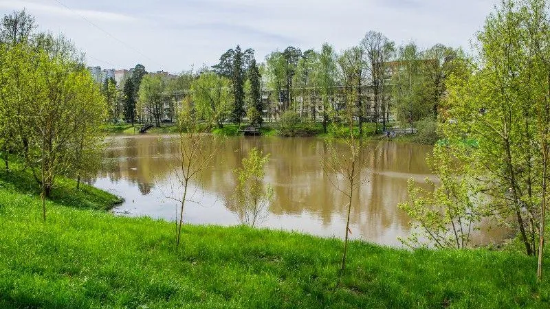 Сто двадцать миллионов рублей выделят на очистку водоемов в Подмосковье
