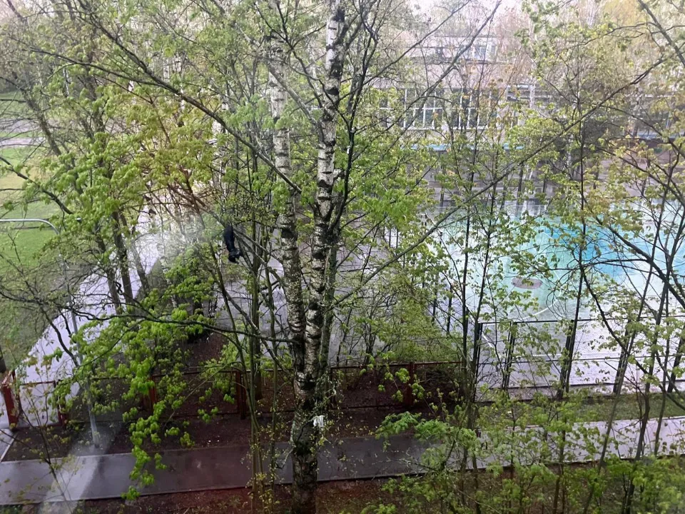 Фото: ГКУ МО «Мособлпожспас»