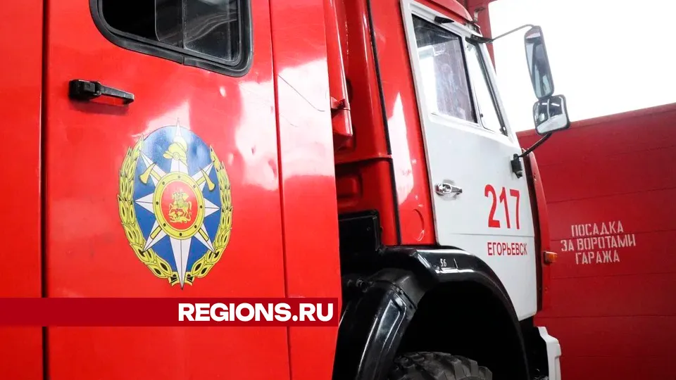 Фото: REGIONS/Василий Тремасов