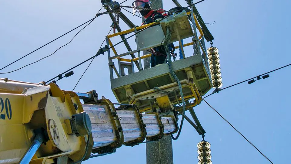 Фото: пресс-служба губернатора и правительства Московской области