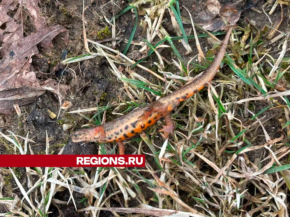 Фото: Евгения Лукова&nbsp;