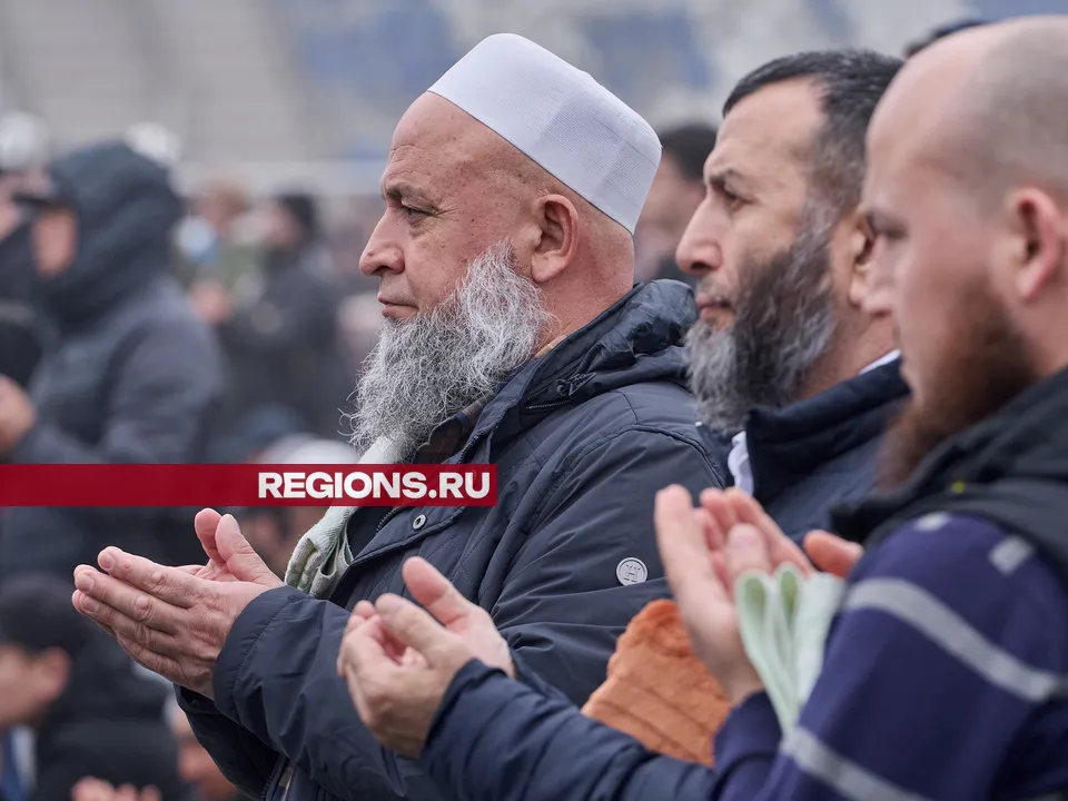 Фото: REGIONS/Дмитрий Белицкий