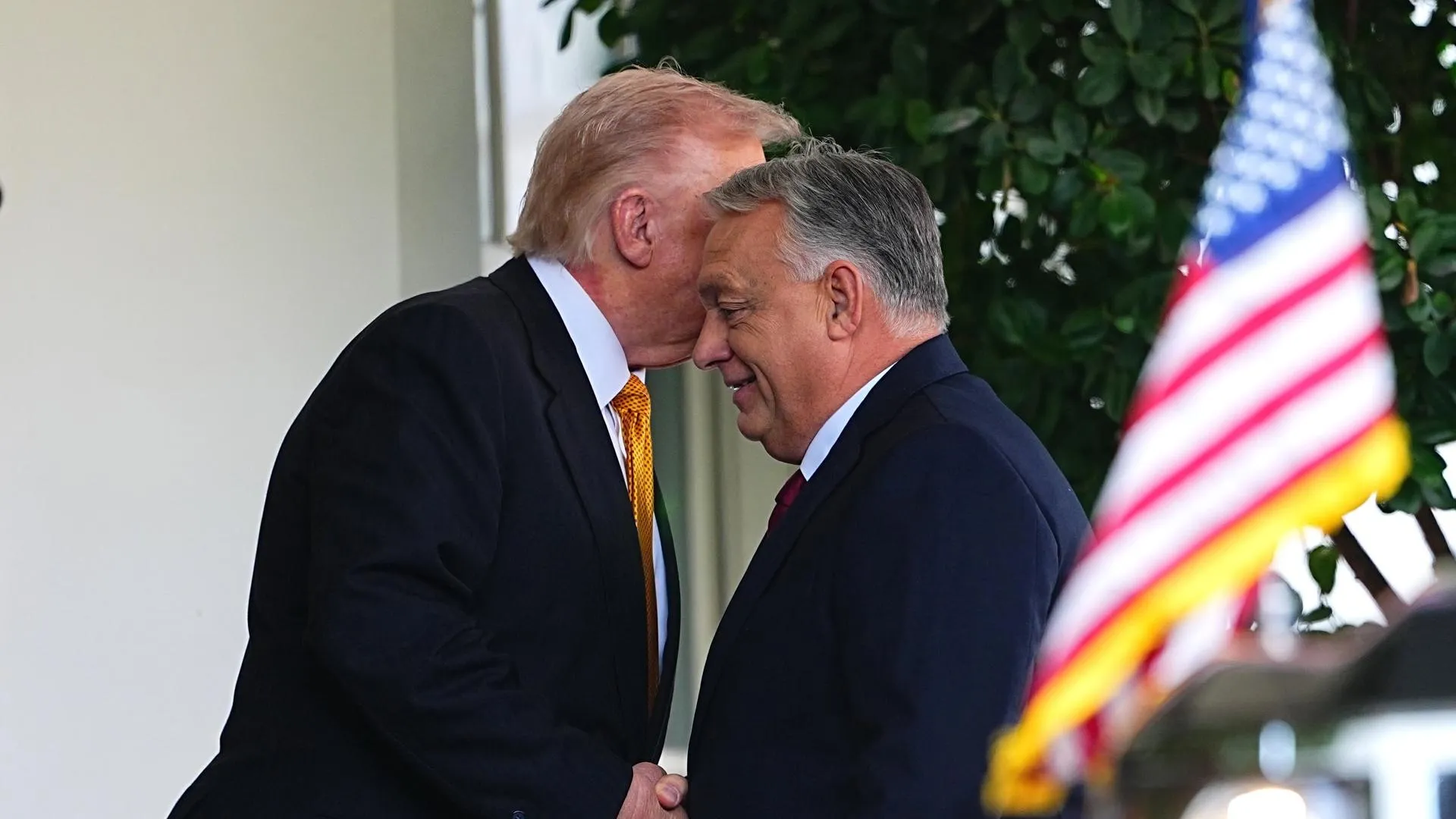 Aaron Schwartz — Pool via CNP/Consolidated News Photos