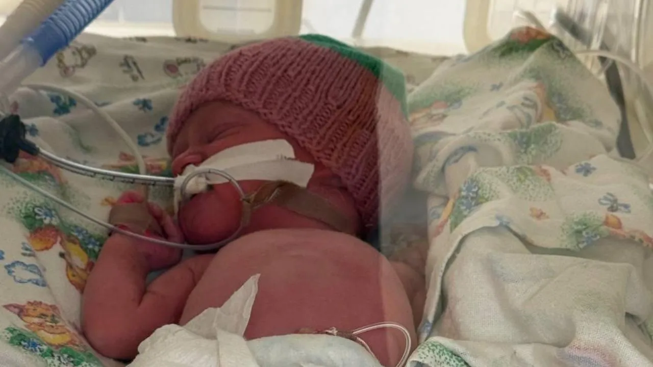 администрация Дмитровского округа