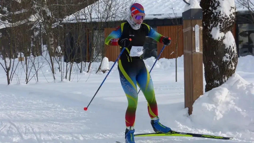 Фрязинский лесопарк