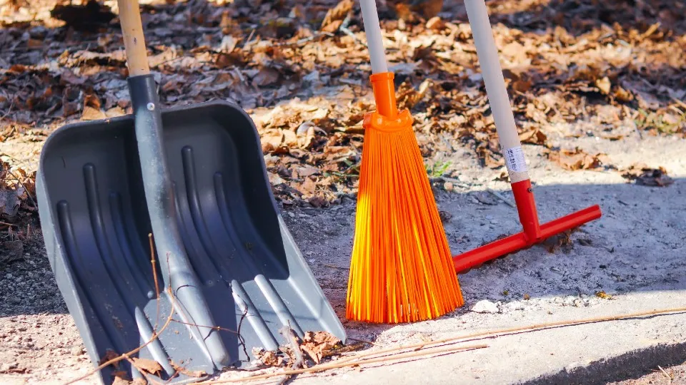 Фото: МедиаБанк Подмосковья/Данила Кирьянов