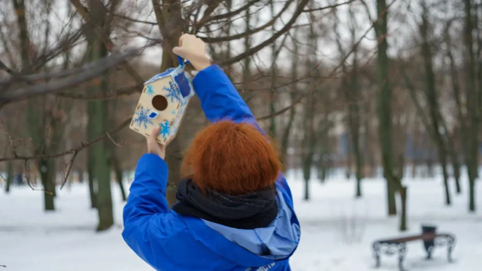 Фото: Анна Сотникова