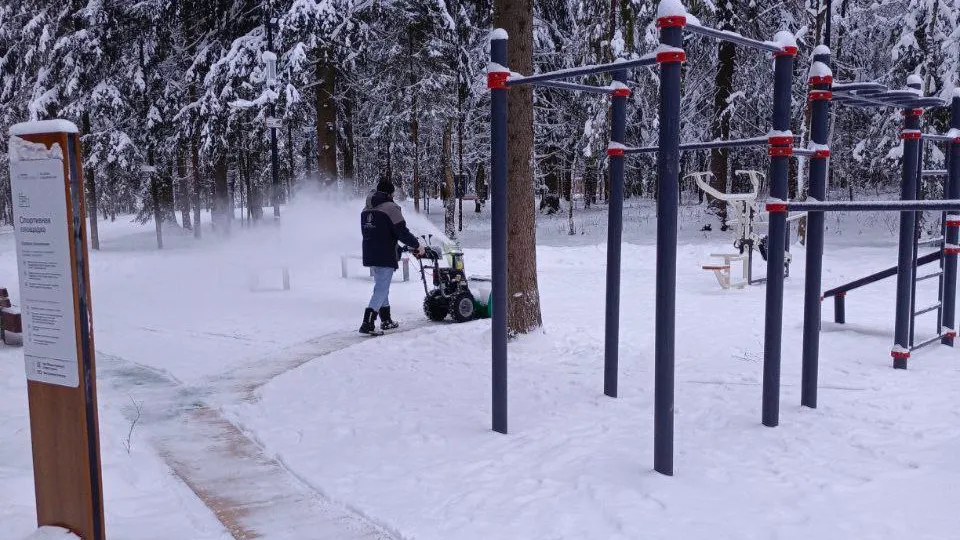 Фото: пресс-служба администрации м.о. Истра