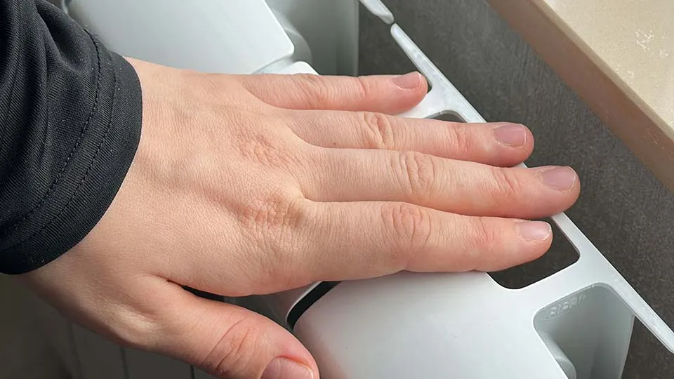 Фото: МедиаБанк Подмосковья/Кристина Тришина