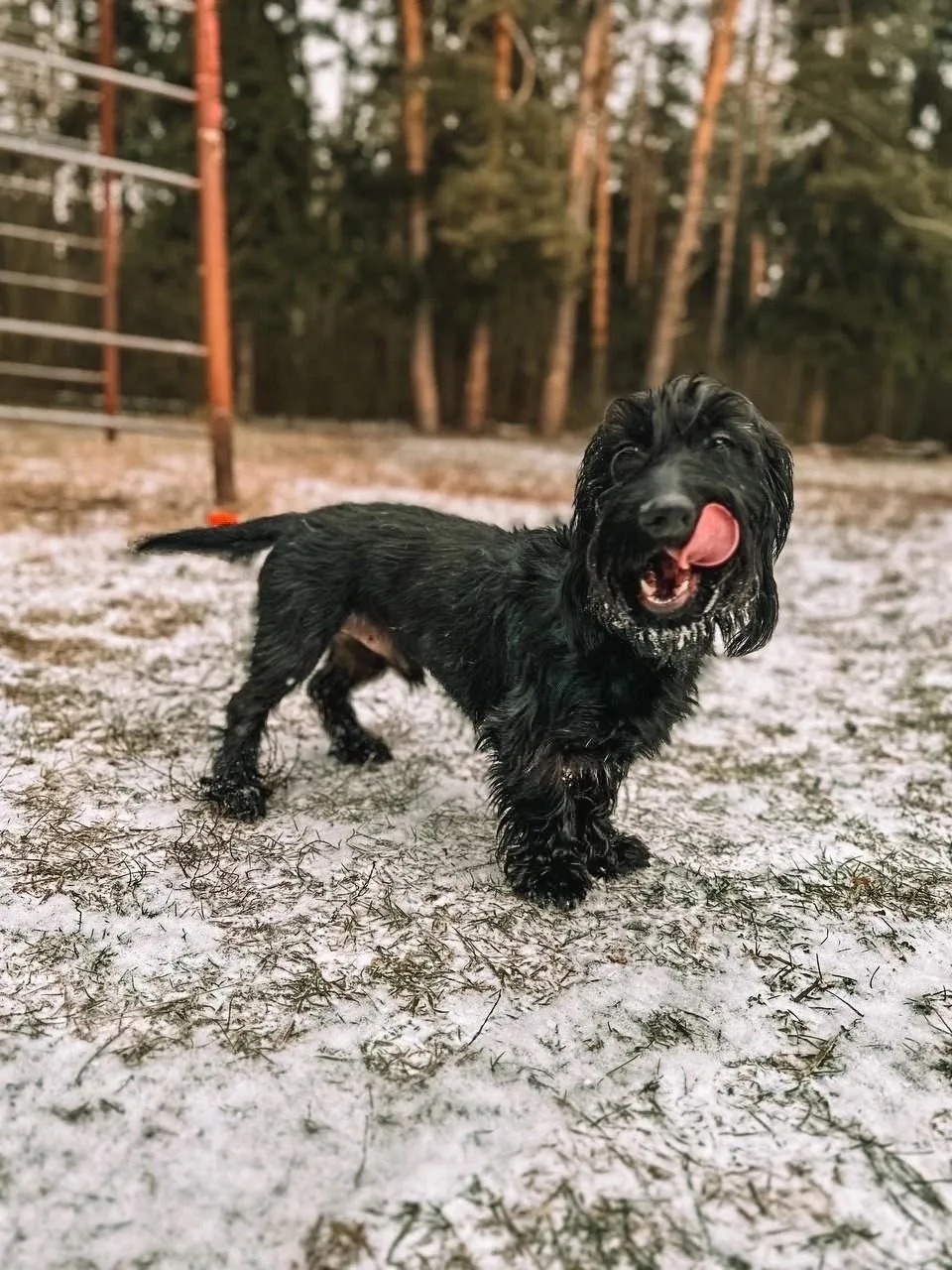 Фото: Подслушано на Глебовке (новая) / ВКонтакте