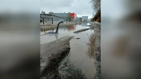 Житель Петербурга креативно напомнил властям о громадной луже в своем районе