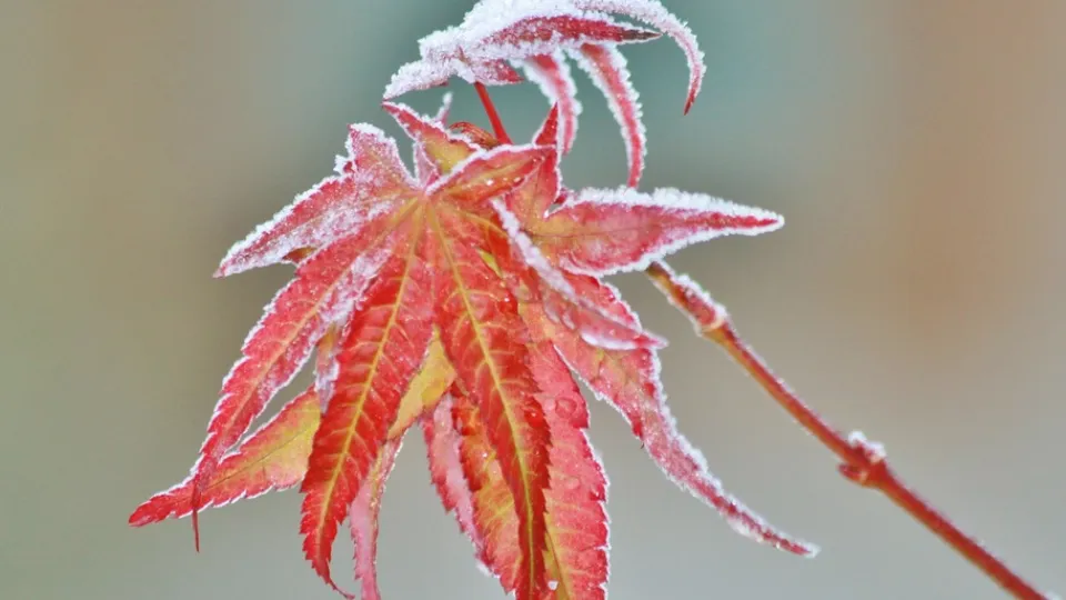 Фото: pxhere.com