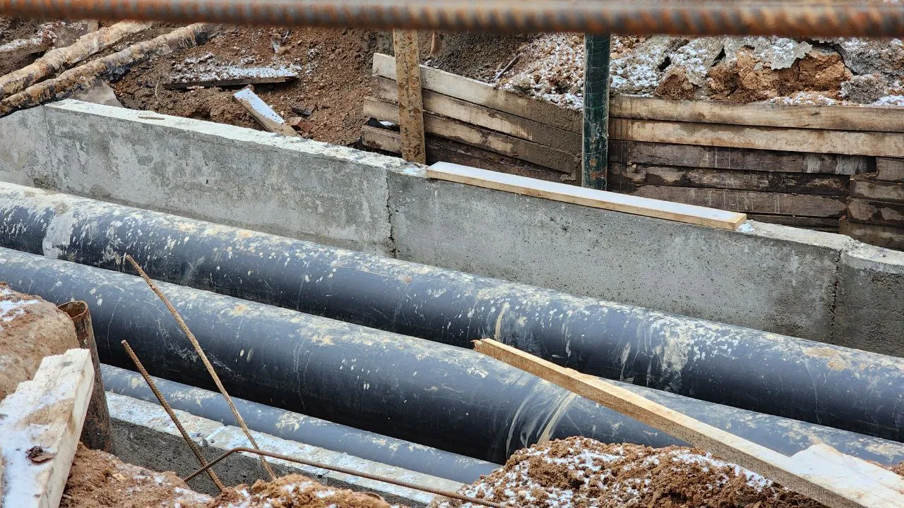 Фото: МедиаБанк Подмосковья/Евгения Герасимова