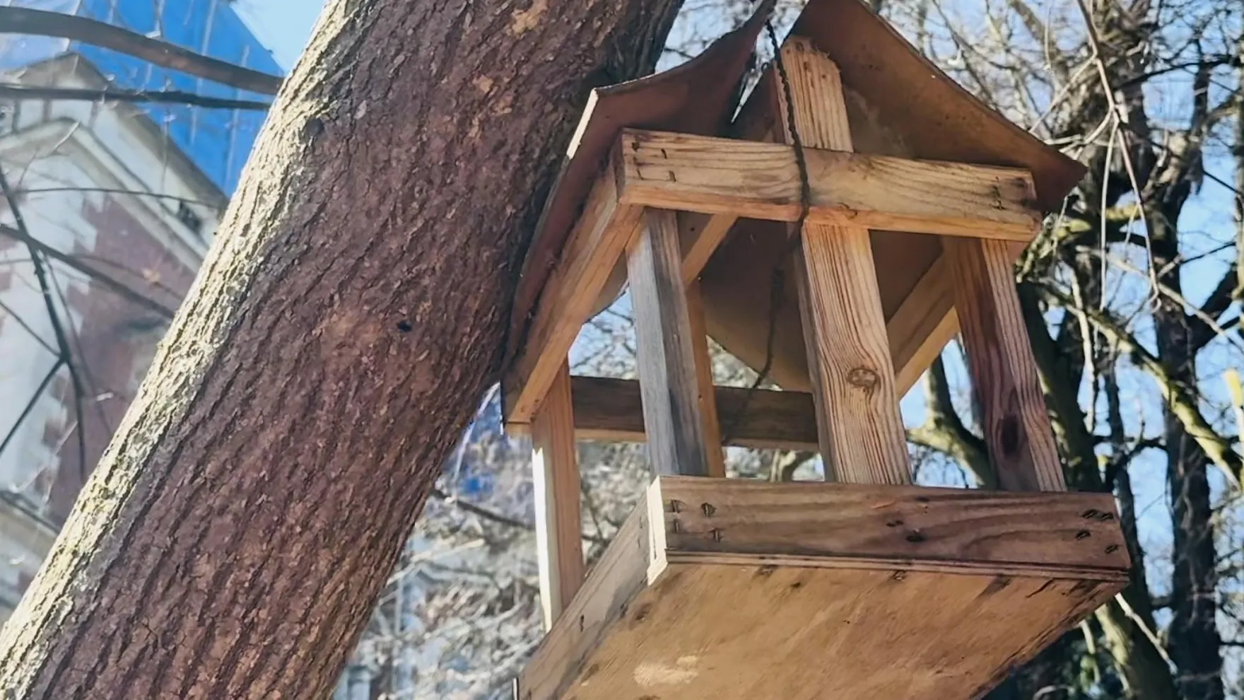 МедиаБанк Подмосковья/Ольга Стаферова