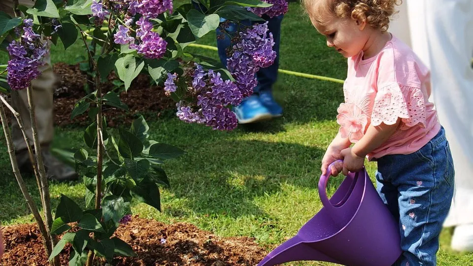 Фото: t.me/ergopodolsk