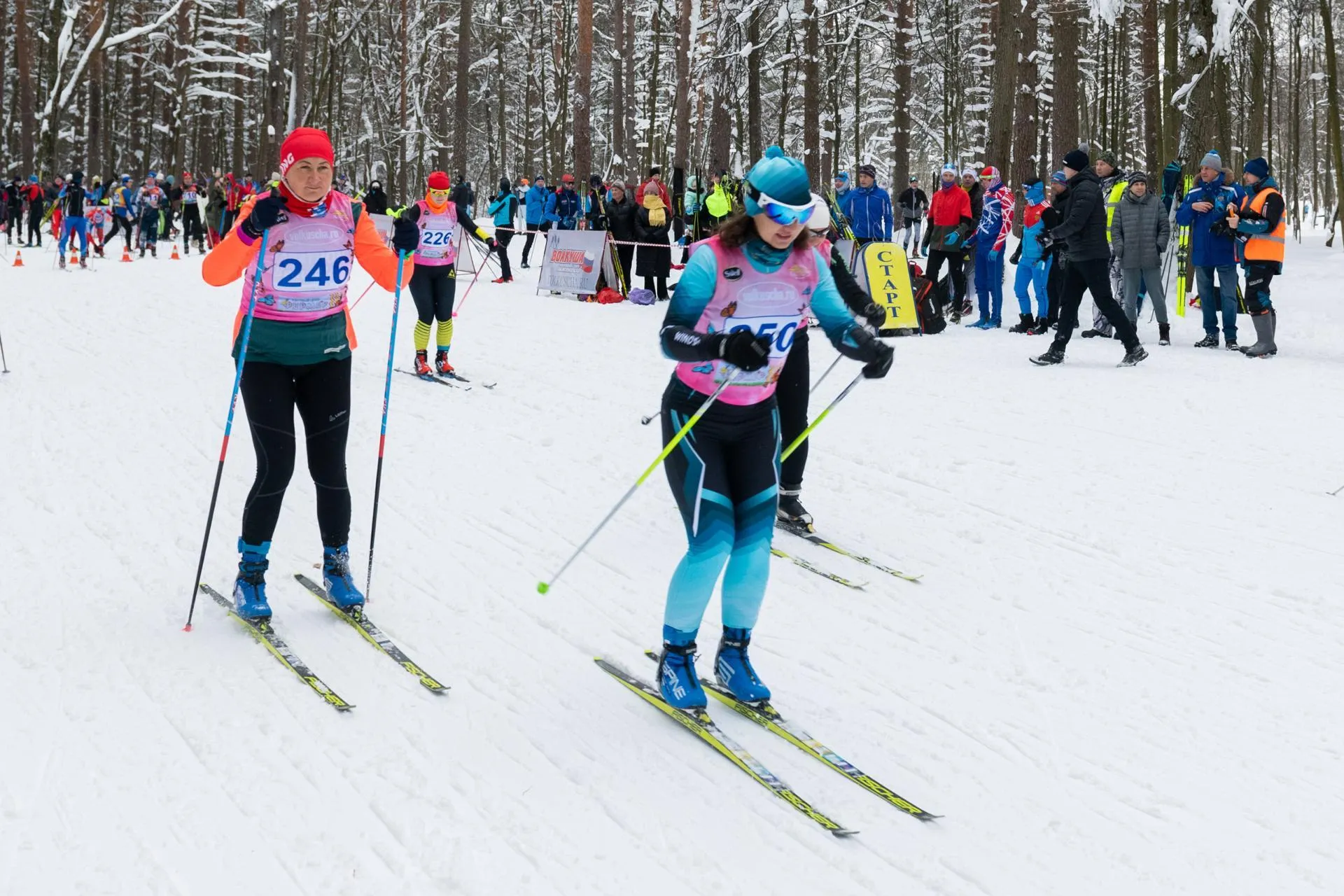 Фото: Владимир Думчев
