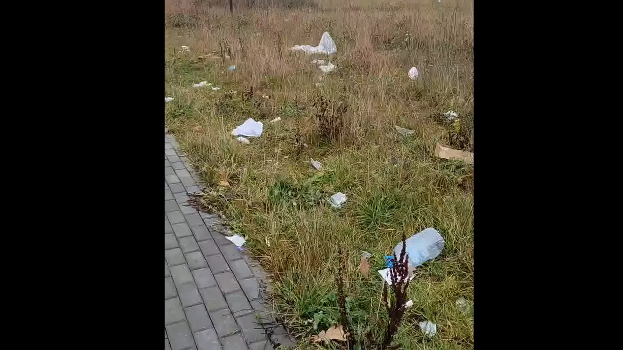 Фото: скриншот из видео