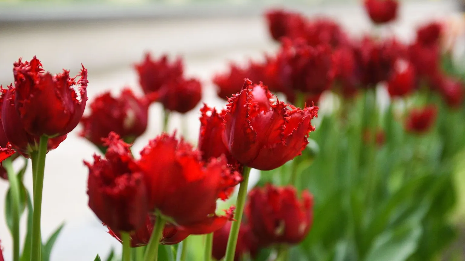 медиасток.рф