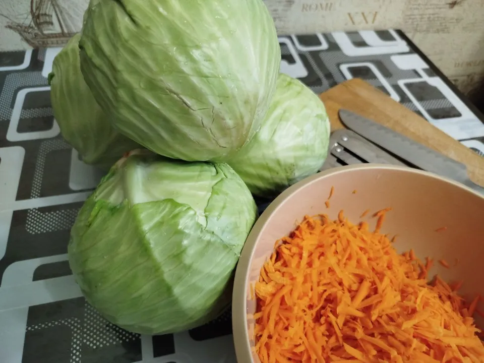 Фото: REGIONS/Юлия Куделькина