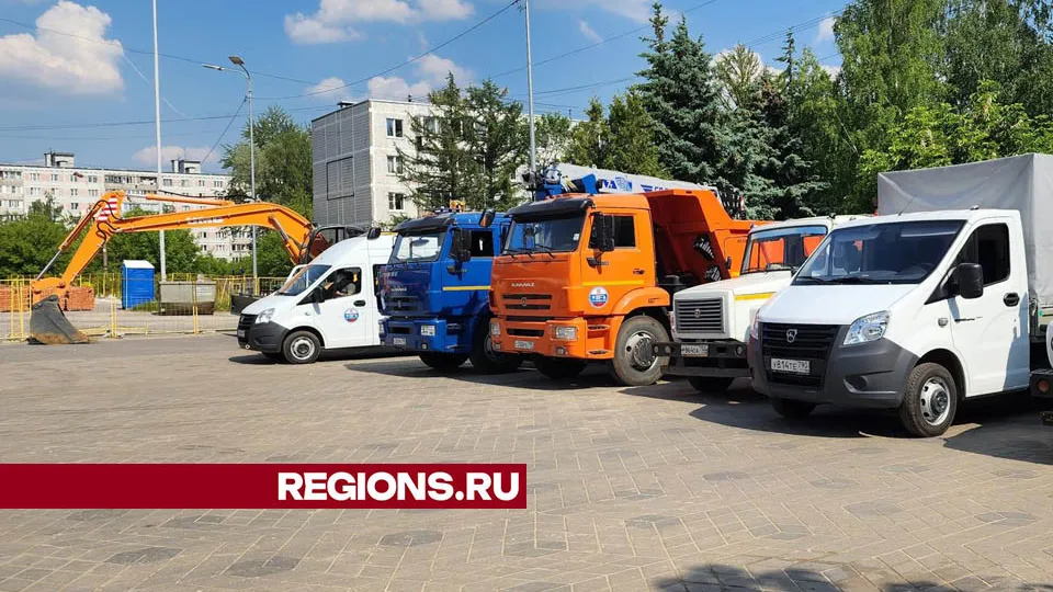 Фото: Валерия Тингаева