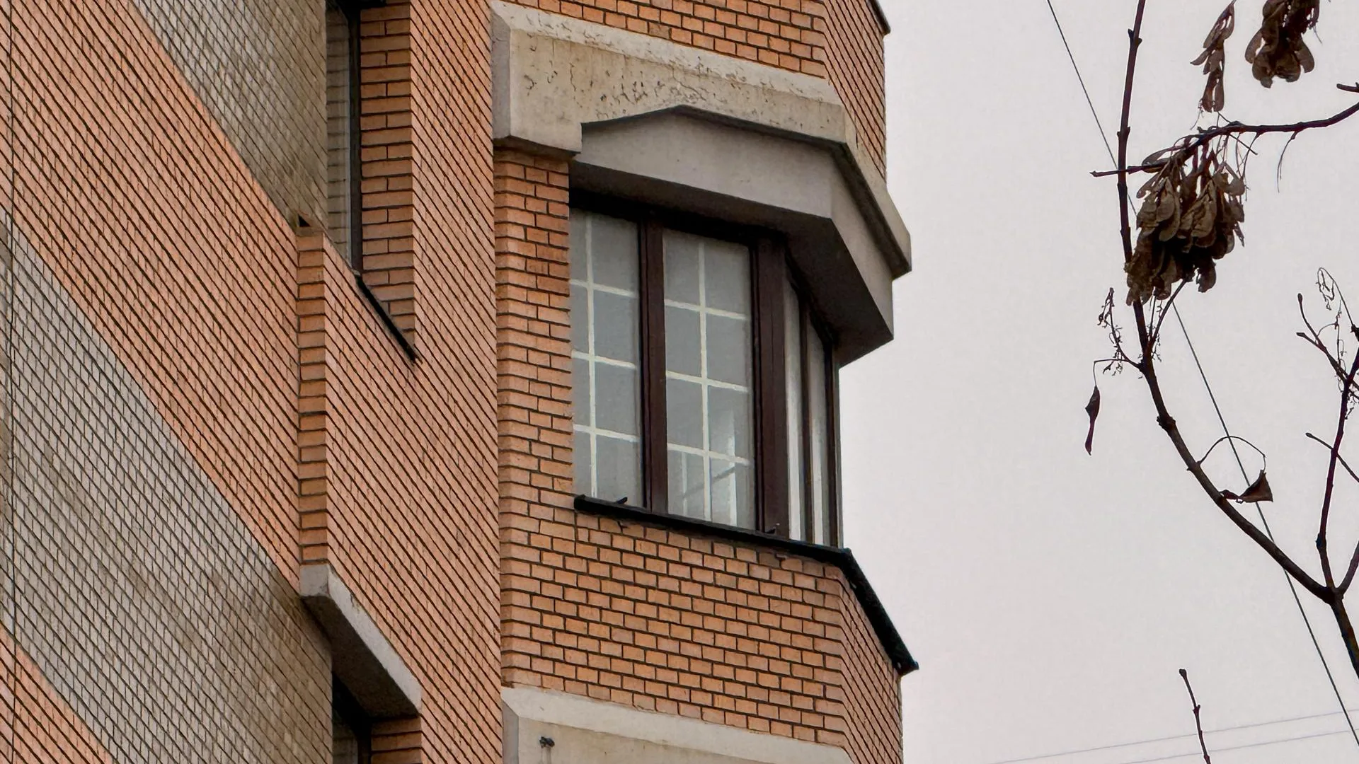 Petrov Sergey/news.ru