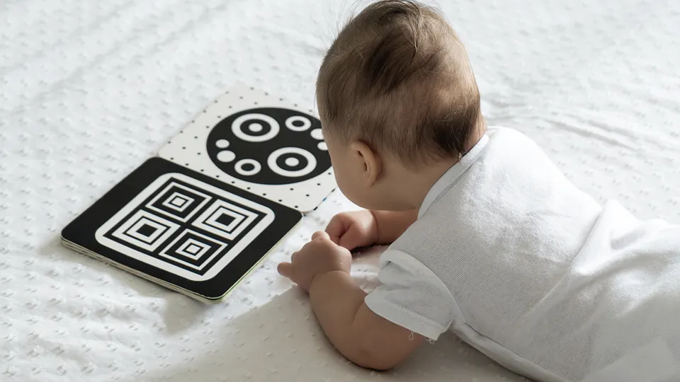 Фото: istockphoto.com