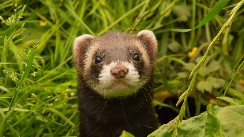 Фото: pxhere.com