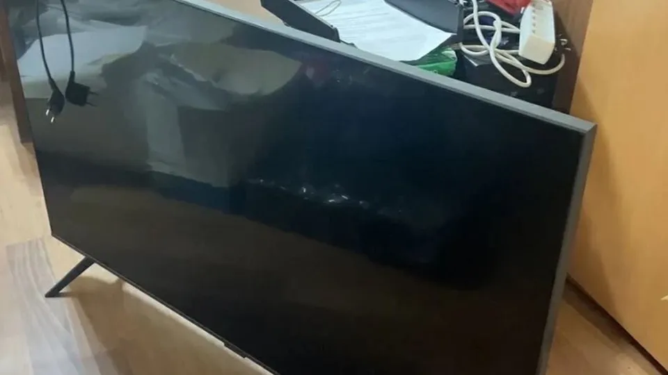 Фото: пресс-служба ГУ МВД России по Московской области