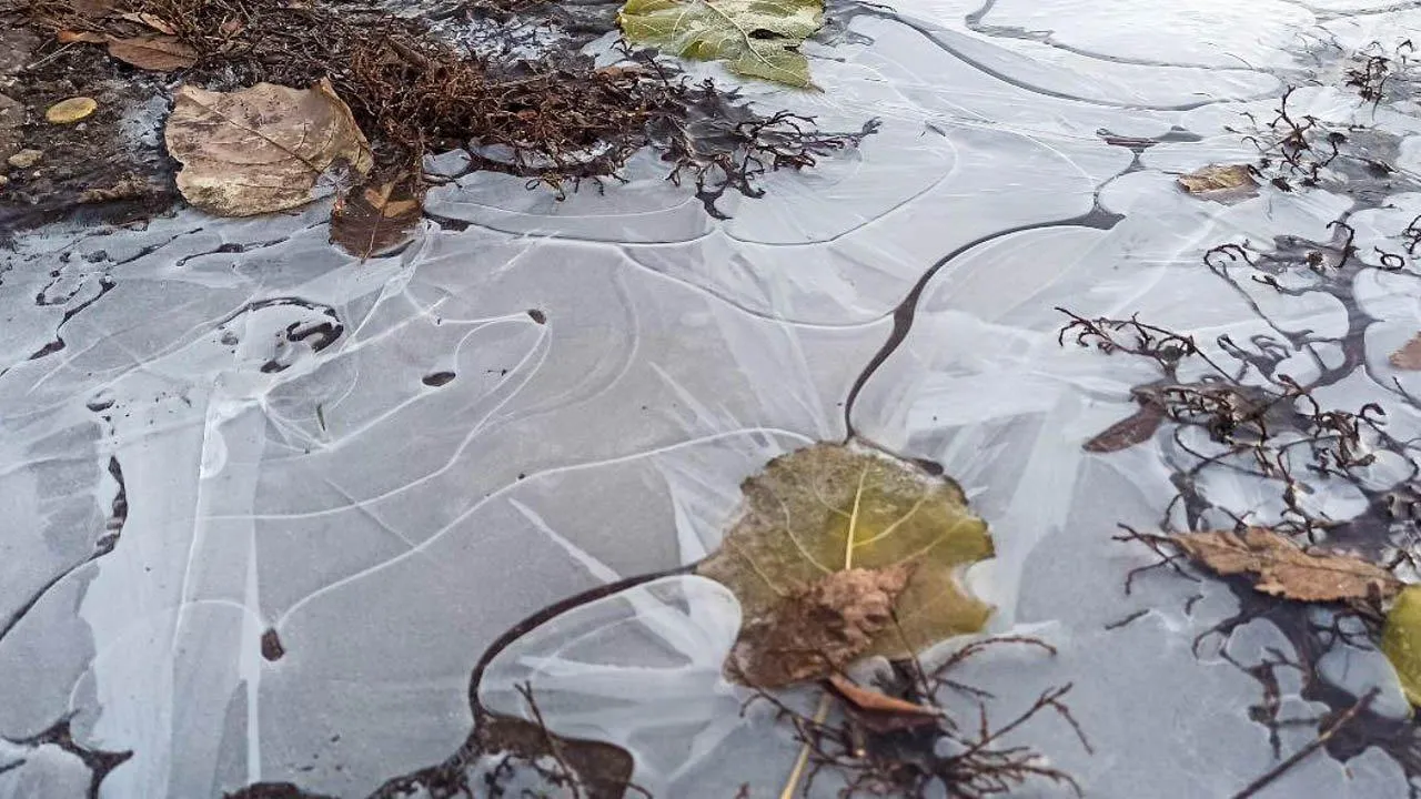 REGIONS/Эльвира Сафина