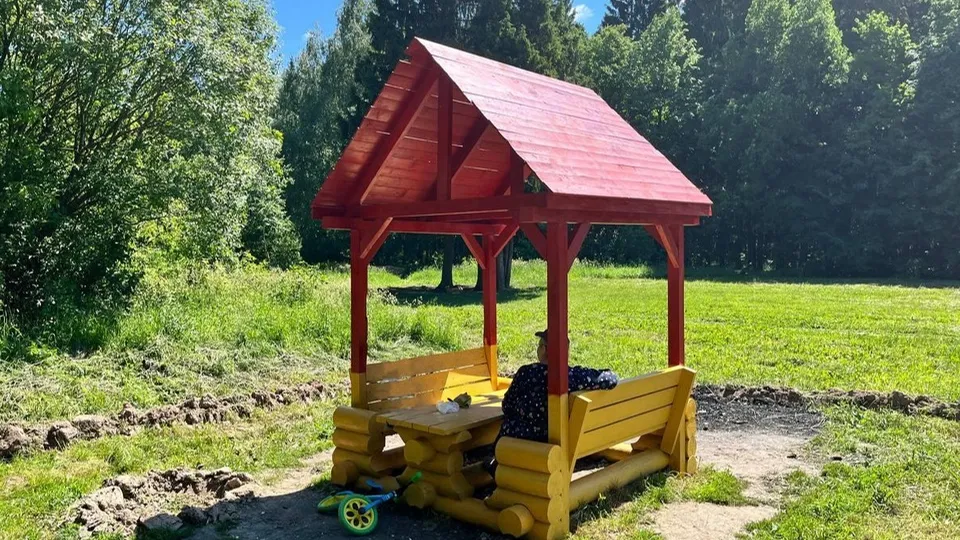 Фото: Комитет лесного хозяйства  Московской области