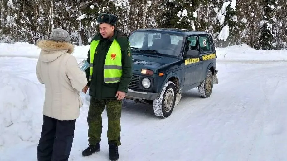 ГКУ МО «Мособллес»