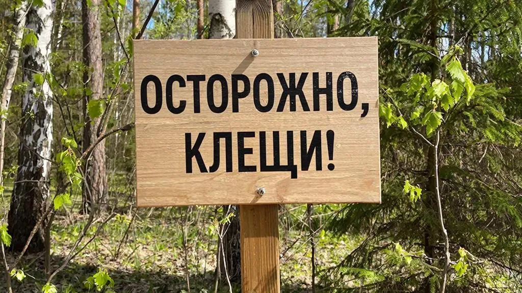 REGIONS/Сгенерировано нейросетью