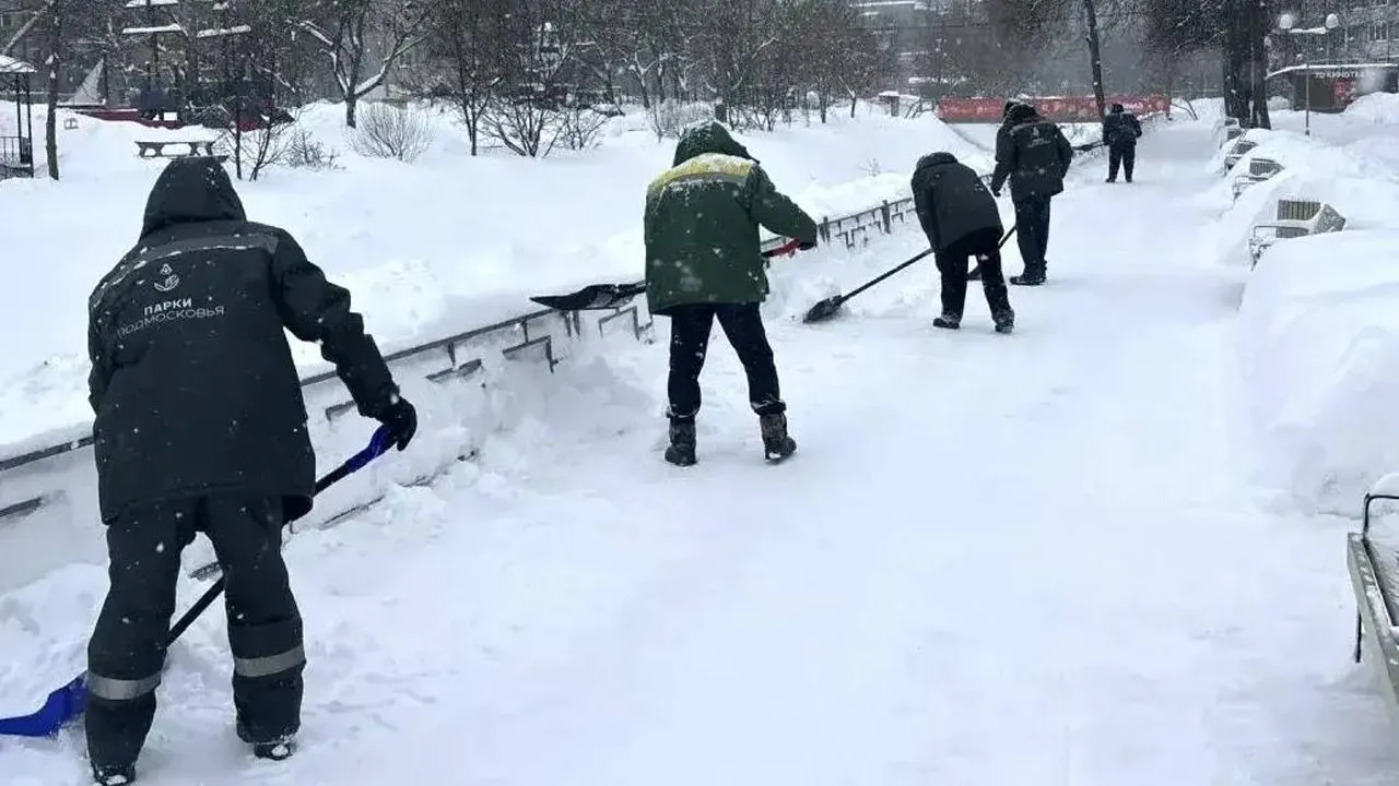 парк культуры и отдыха г.о. Щелково