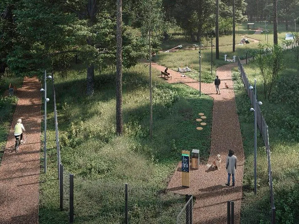 Томилинский лесопарк в Люберцах. Фото: проектное решение