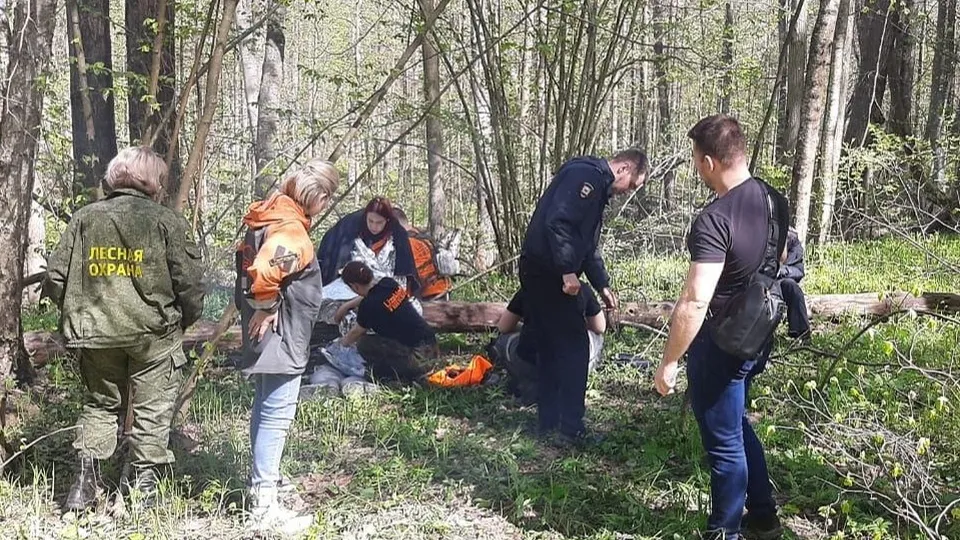 Фото: Комитет лесного хозяйства МО