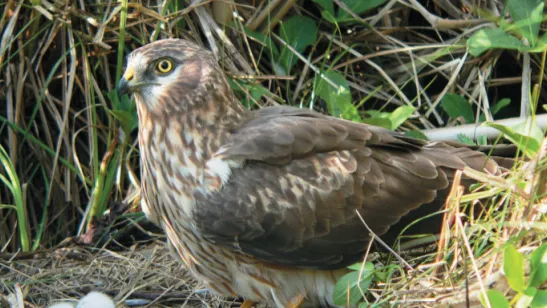 Фото: Фонд Верховье