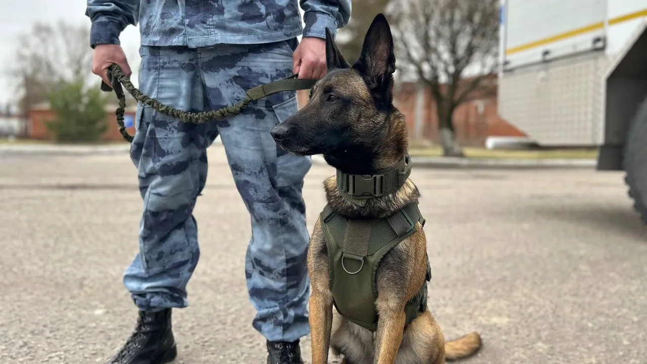 МедиаБанк Подмосковья/Мария Андрюхина