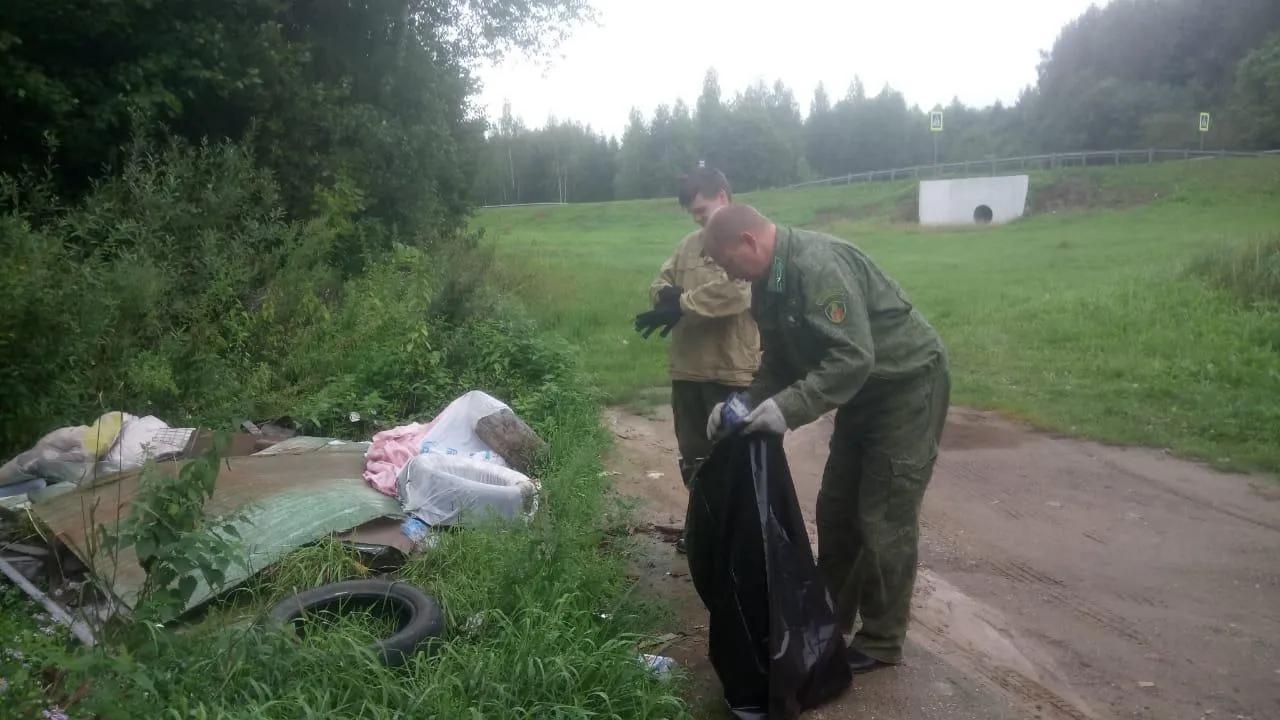 Фото: Комитет лесного хозяйства Московской области