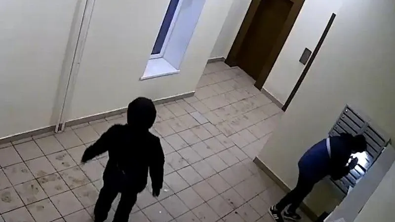Посылки с «Алиэкспресс» попадают к ворам вместо заказчиков в Одинцово