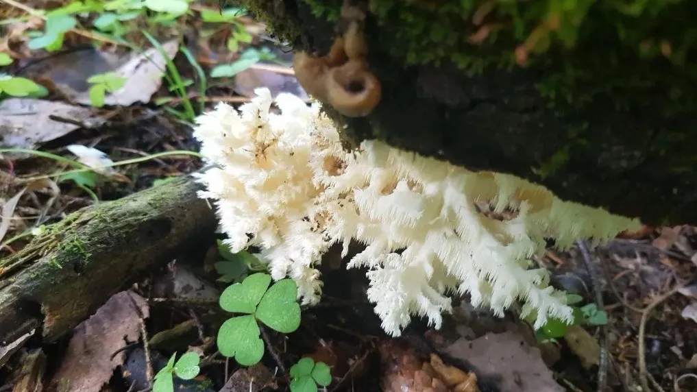 Фото: Минэкологии Московской области