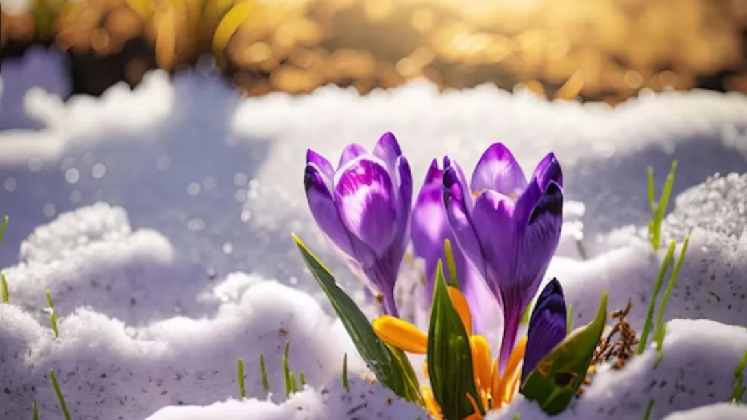 Фото: freepik.com